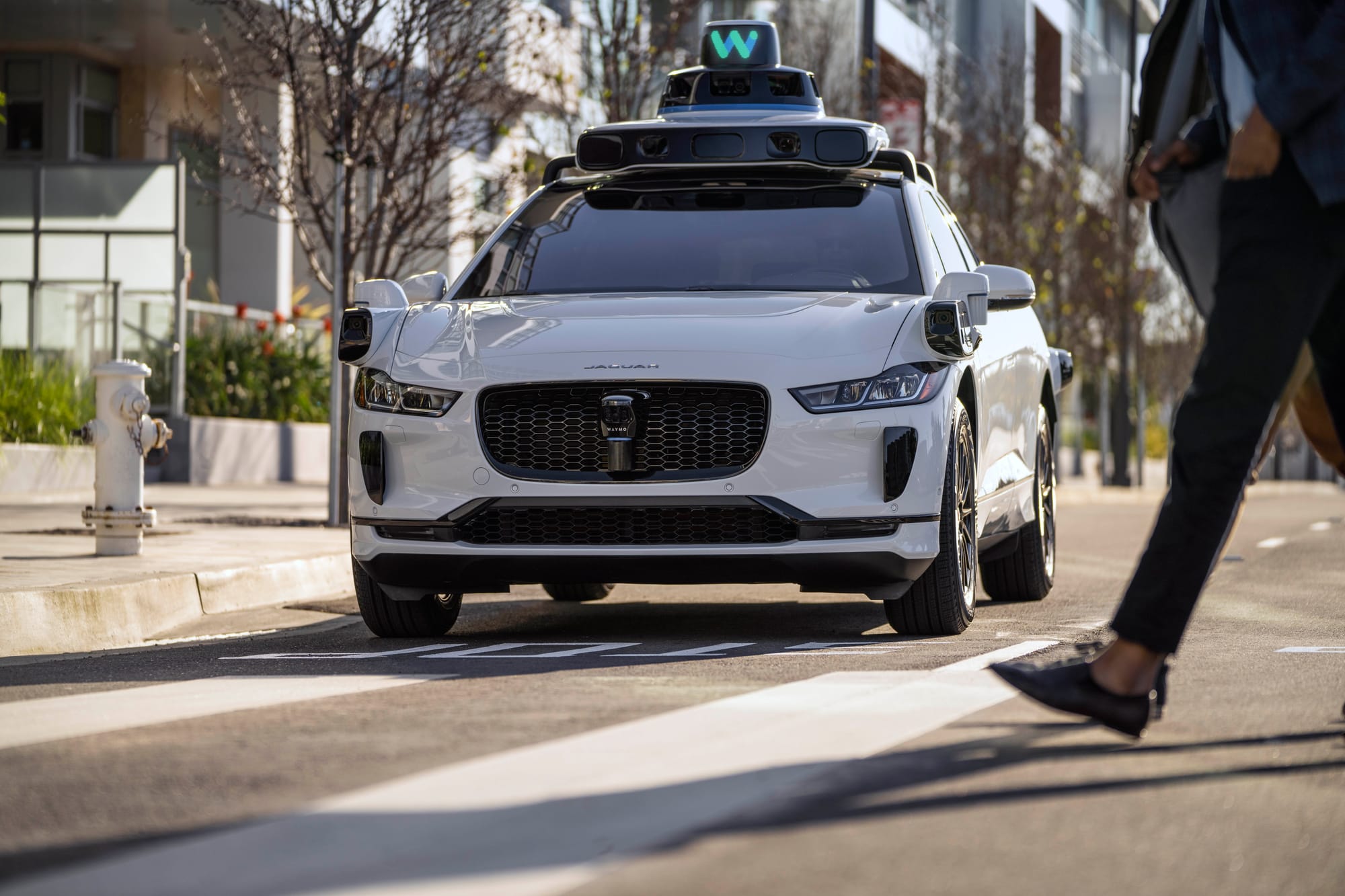 A white Jaguar i-Pace equipped with Waymo's extensive LIDARs, cameras and radars. In the foreground is a zebra crossing and to the right of frame a pedestrian crossing apparently safely.